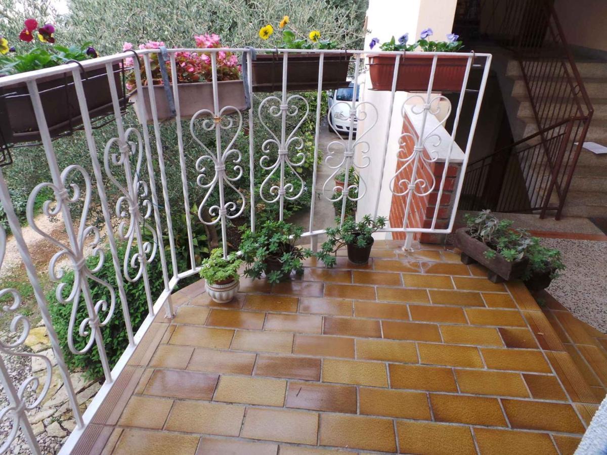 Apartman 33