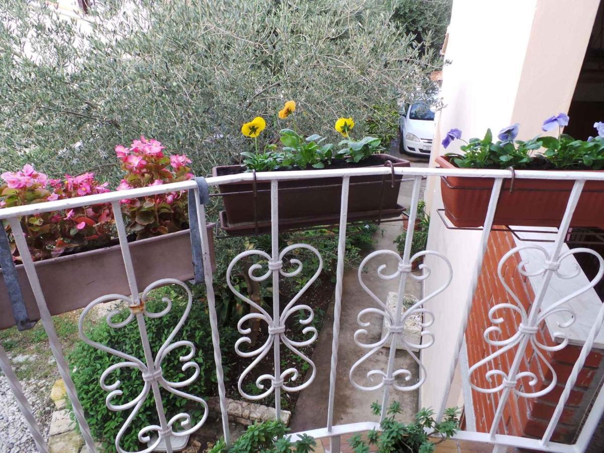 Apartman 33